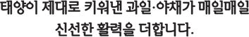 태양이 제대로 키워낸 과일·야채가 매일매일 신선한 활력을 더합니다.